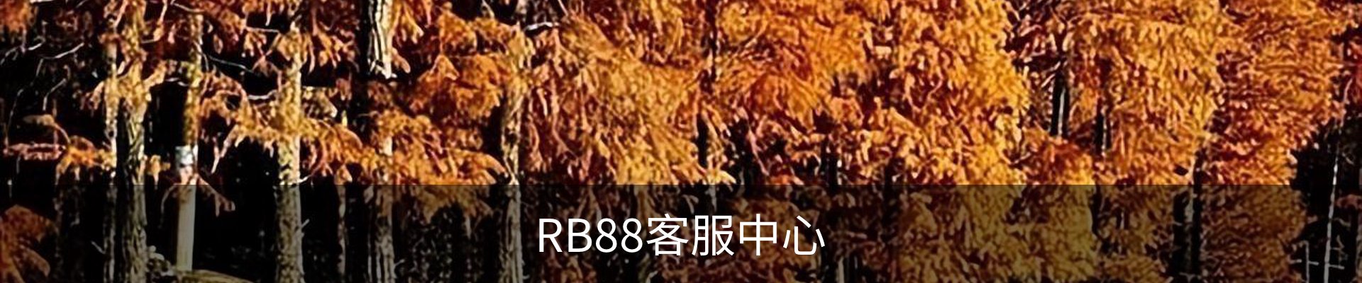 RB88客服中心